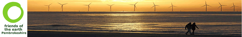 Invest in renewable energy